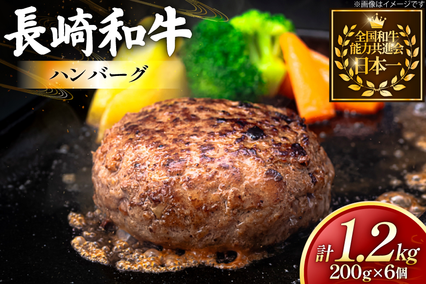ハンバーグ 長崎和牛 100％ ハンバーグ (200g×6個) [黒牛 長崎県 東彼杵町 hs42bag750077] 牛肉100% 肉 お肉 おかず
