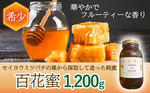 はちみつ 百花蜜 1.2kg/ 蜂蜜 国産 瓶 ビン 入り 長崎県 川棚町産 【小佐々養蜂場】 [OCY002]
