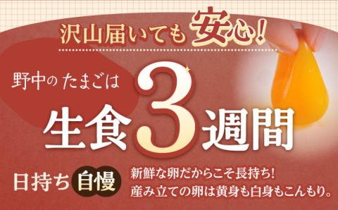 【3回定期便】産みたて新鮮卵 野中のたまご  40個×3回 計120個【野中鶏卵】 [OAC004] /卵 たまご 高級卵 卵焼き 卵かけご飯 たまご 濃厚たまご タマゴ
