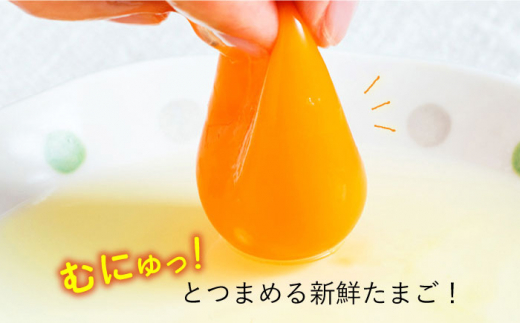 平飼い もみじ の 高級 たまご 新鮮 産みたて卵 20個【野中鶏卵】 [OAC014] /卵 たまご 高級卵 卵焼き 卵かけご飯 たまご 濃厚たまご タマゴ