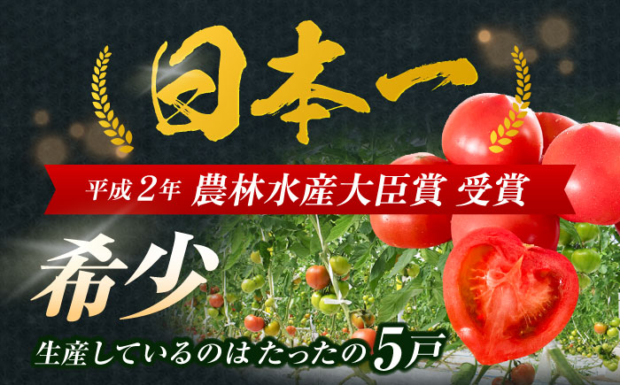 【先行受付】最高級特選 小串トマト 約1kg【東彼新鮮市場】[OAE001] とまと トマト 1万円台 甘い