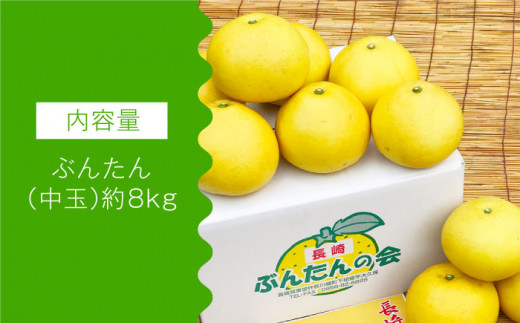 【数量限定】ぶんたん 中玉 約8kg / ブンタン 文旦 フルーツ 柑橘 みかん 蜜柑 かんきつ 果物 くだもの フルーツ ミカン【長崎ぶんたんの会】 [OAF002]