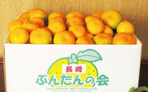 【数量限定】温州高糖度 原口みかん 約5kg ミカン 柑橘 みかん 果物  フルーツ【長崎ぶんたんの会】 [OAF004]