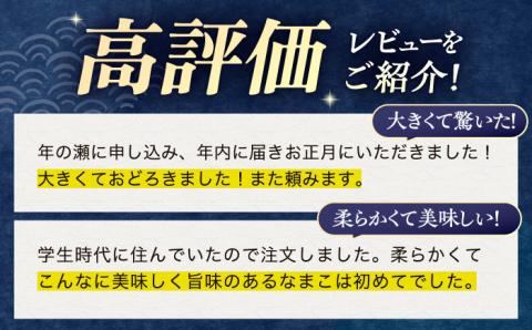 【先行受付】川棚 生 なまこ 約1kg ※2025年12月中旬以降発送】【森水産】[OAI001] / 大村湾で採れる 高級 新鮮 ナマコ 魚介 おつまみ なまこ 正月