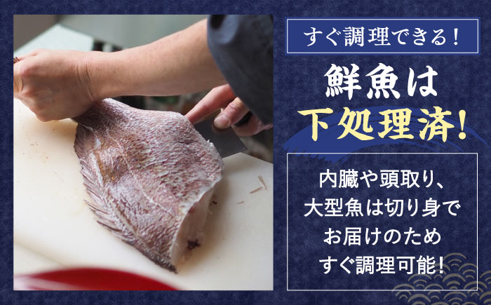 【先行予約】朝どれ新鮮！大村湾 旬の 鮮魚 贅沢 詰合せ (7種～12種) ※7～11月配送【森水産】[OAI003] / 魚介 鮮魚 海鮮 長崎県産 下処理済 冷蔵配送