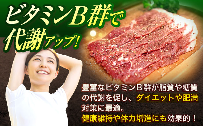 【12回定期便】ジビエ 天然イノシシ肉 角切り肉 1.2kg（カレー・シチュー）【照本食肉加工所】 [OAJ066]