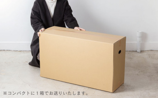 【名入れ可能！】段ボール木馬『ダンバ』組み立て簡単/ おもちゃ 子供用 キッズ キッズトイ【松美段ボール】 [OAN001]