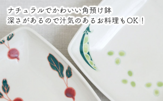 【波佐見焼】フレッシュアート 角預け 鉢 2柄セット〈ビーン・ラディッシュ〉 [OAQ049]