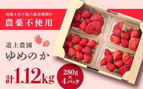 【2024年1?3月発送！】いちご 『ゆめのか』 280g×4パック 栽培期間中：農薬不使用 【道上農園】[OBE002]