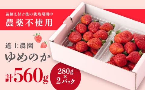 【2024年1?3月発送！】いちご 『ゆめのか』 280g×2パック 栽培期間中：農薬不使用 【道上農園】[OBE003]