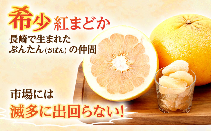 ぷりぷりで爽やかな香り！ 紅まどか 4個入り【おおたに農園】 [OBP001]