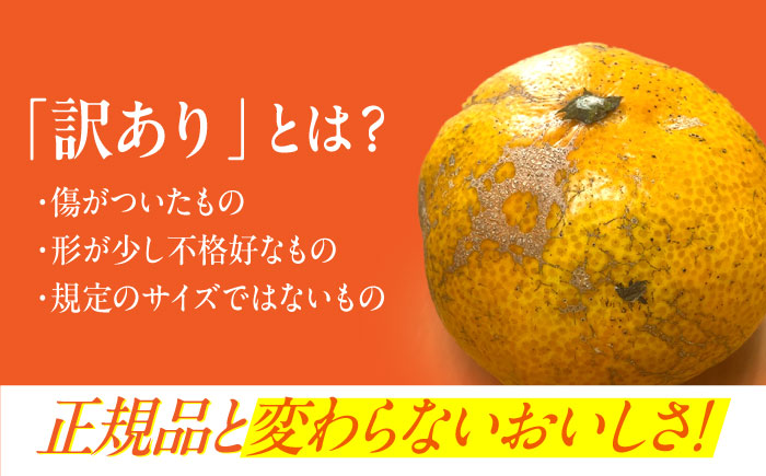 訳あり 原口みかん 5kg【おおたに農園】 [OBP002]