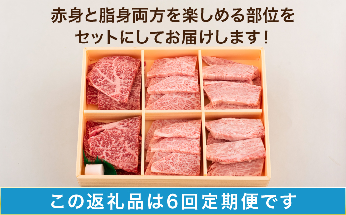 【6回定期便】長崎和牛 3種焼肉セット 480g【株式会社田中精肉店】 [OCA051]