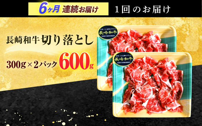 【6回定期便】長崎和牛 切り落とし 600g(300g×2)【有限会社長崎フードサービス】 [OCD019]