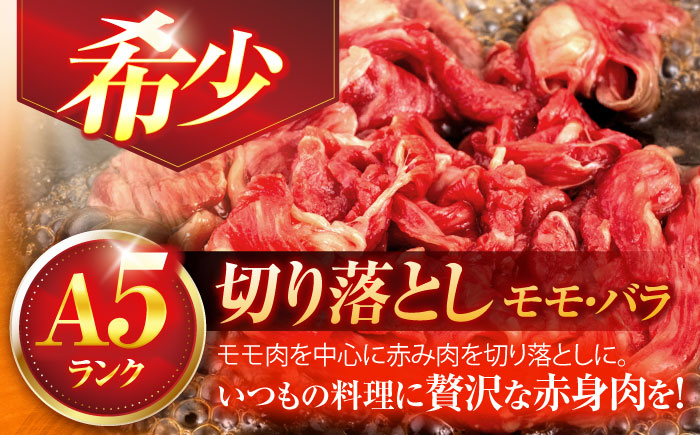 長崎和牛A5ランク 赤身切り落とし（モモ･バラ）（400ｇ）【肉のあいかわ】 [OCH021] / 牛肉 切り落とし 赤身肉 長崎県 もも ばら