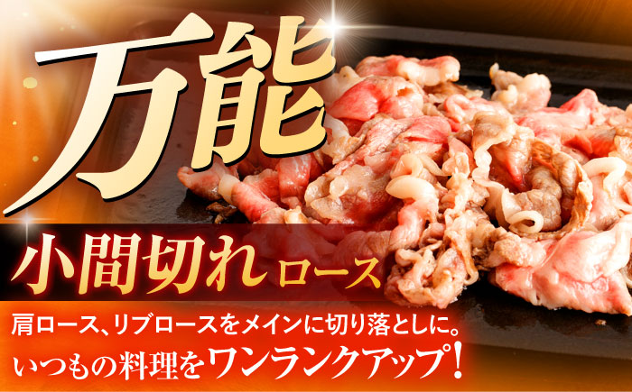 長崎和牛A5ランク ファミリーセット（ロース小間切れ800g＆特選ハンバーグ10個セット）【肉のあいかわ】 [OCH028] / 長崎和牛 食べ比べ ハンバーグ 切り落とし きりおとし はんばーぐ