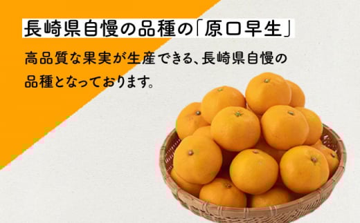 【先行予約】濃厚な食味 原口早生みかん 約5kg 【田崎FARM】[OCU003] / 柑橘 みかん 早生みかん 蜜柑 ミカン
