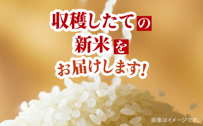 【3回定期便】令和6年産 天日干し ヒノヒカリ 4kg 【Mt.G ファーム】[OCX005] / 米 こめ 白米 精米 4kg 少量 一人ぐらし 定期便 米定期便 ひのひかり 天日干し米 天日干し