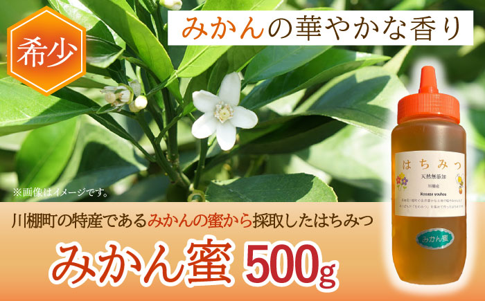 はちみつ みかん蜜 500g / 蜂蜜 国産 とんがり容器 入り 長崎県 川棚町産 【小佐々養蜂場】 [OCY003]