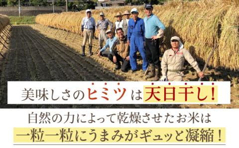 令和6年産 新米 ヒノヒカリ 10kg 【Mt.Gファーム】 [OCX004]