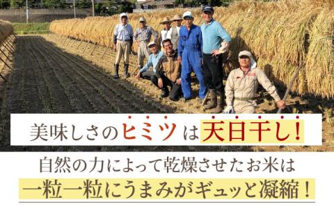 【3回定期便】令和6年産 天日干し ヒノヒカリ 4kg 【Mt.G ファーム】[OCX005] / 米 こめ 白米 精米 4kg 少量 一人ぐらし 定期便 米定期便 ひのひかり 天日干し米 天日干し