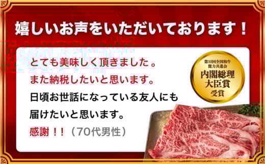 長崎和牛 焼肉用スライス 約500g【川下精肉店】[OAA001] / 牛肉 スライス 赤身スライス  国産牛 長崎和牛 牛肉 スライス 赤身スライス 国産牛 長崎和牛