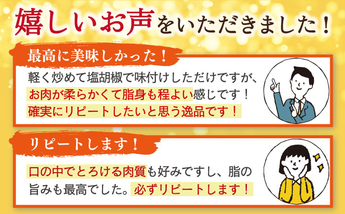 長崎和牛 サーロイン ステーキ 約230g×3枚【川下精肉店】[OAA006] / 長崎県産和牛 牛肉 サーロインステーキ 国産牛 牛肉 サーロインステーキ 牛 肉 サーロインステーキ サーロイン ステーキ ぎゅうにく A4ランクサーロインステーキ 上質牛肉 高級