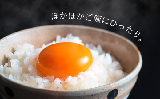 平飼い もみじ の 高級 たまご 新鮮 産みたて卵 20個【野中鶏卵】 [OAC014] /卵 たまご 高級卵 卵焼き 卵かけご飯 たまご 濃厚たまご タマゴ