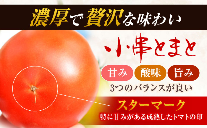 【先行受付】最高級特選 小串トマト 約1kg【東彼新鮮市場】[OAE001] とまと トマト 1万円台 甘い