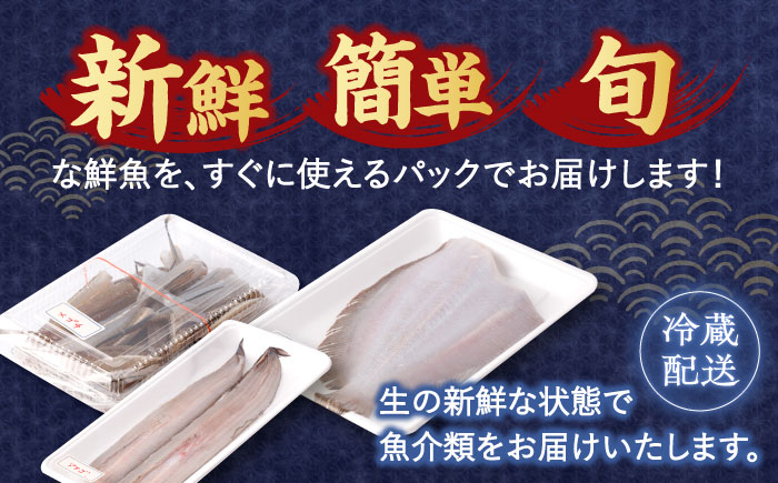 【先行予約】朝どれ新鮮！大村湾 旬の 鮮魚 贅沢 詰合せ (7種～12種) ※7～11月配送【森水産】[OAI003] / 魚介 鮮魚 海鮮 長崎県産 下処理済 冷蔵配送