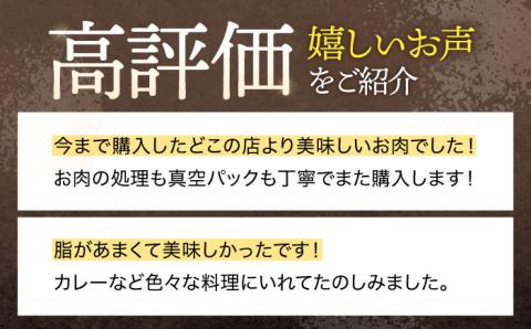 【6回定期便】ジビエ 天然 猪肉 バラエティ総量3.8kg【照本食肉加工所】[OAJ073]【照本食肉加工所】[OAJ073]  / 猪肉 いのしし  猪 猪鍋 ぼたん鍋 肉 切り落とし肉 スライス肉 ミンチ肉 いのしし肉