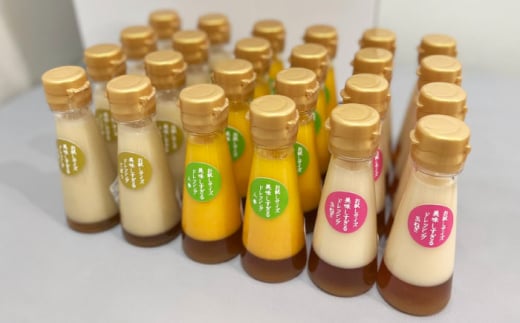 【3回定期便】「美味しすぎるドレッシング」お試しサイズ 24本セット [OAK008] / 野菜ドレッシング サラダ 調味料 ベジタブルドレッシング 添加物不使用 和風ドレッシング タマネギドレッシング ニンジン