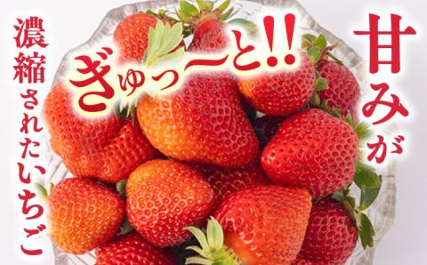 【2024年1?3月発送！】いちご 『ゆめのか』 280g×4パック 栽培期間中：農薬不使用 【道上農園】[OBE002]
