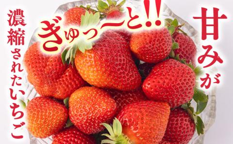 【2024年1?3月発送！】いちご 『ゆめのか』 280g×2パック 栽培期間中：農薬不使用 【道上農園】[OBE003]