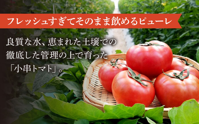 【3回定期便】小串トマトの濃縮150％ピューレ「OGUSHI」15本セット【草加家】 [OBH010]