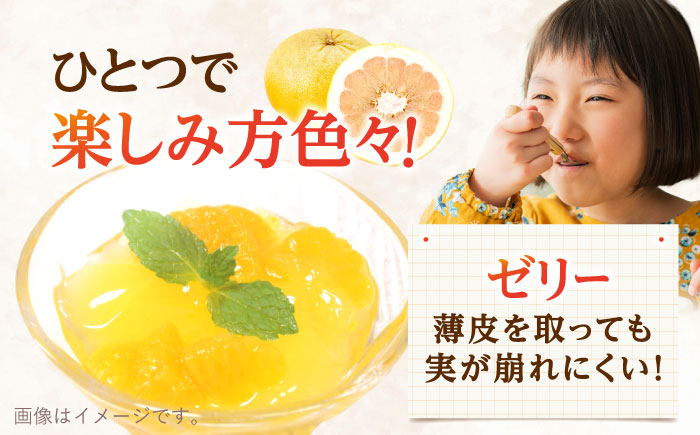 ぷりぷりで爽やかな香り！ 紅まどか 4個入り【おおたに農園】 [OBP001]