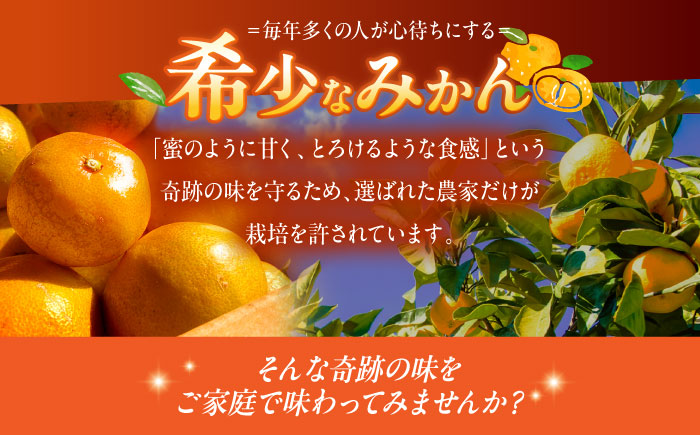 訳あり 原口みかん 5kg【おおたに農園】 [OBP002]