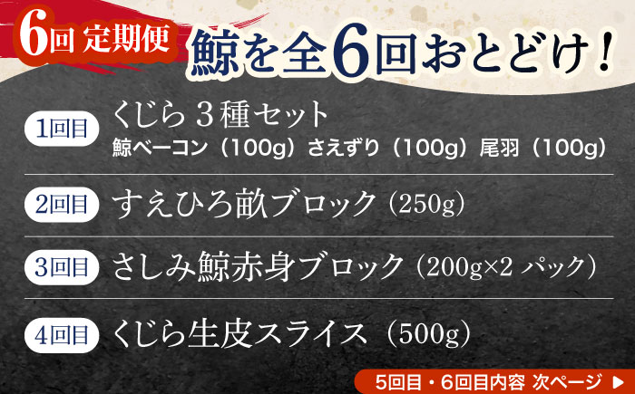 【6回定期便】贅沢三昧くじら食べ比べ定期便【中島(鯨)商店】[OBR014] / 鯨肉 くじら 魚介 海鮮