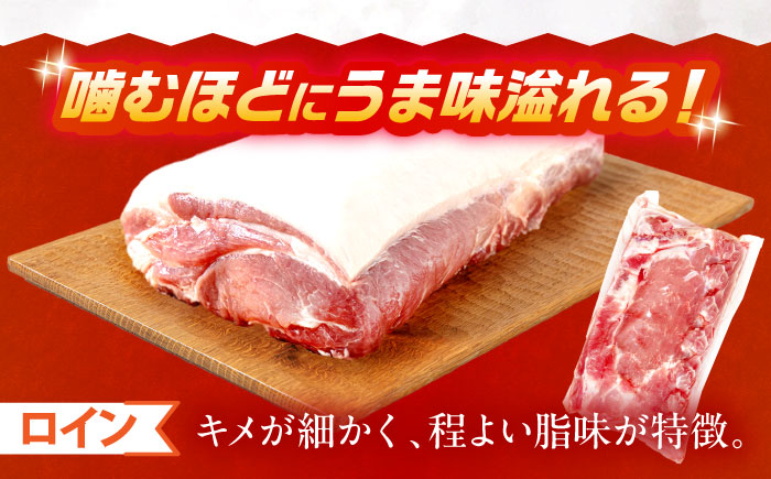 真空冷蔵 豚ロースブロック 約5kg（リブロースとロイン 2種セット）【日本フードパッカー株式会社】 [OCJ001]