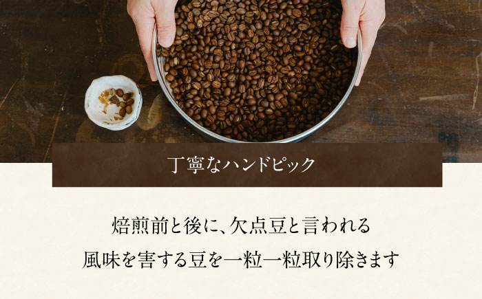 スペシャルティコーヒー詰め合わせ　150g×3袋 【海と猫。】 [OCK003]