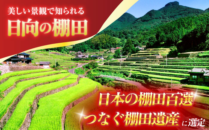 虚空蔵の清流水で育った棚田米『ひなた米』 5kg 【木場中山間管理組合】 [OCM041]