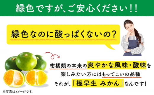【先行予約・やわらかな酸味が特徴】極早生 みかん 5kg / 程よい酸味 薄皮 上野 夢一号 柑橘 かんきつ ミカン 蜜柑 みかん 極早生 長崎県産みかん 川棚産みかん【瀧口ファーム】 [OCW001]