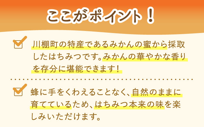 はちみつ みかん蜜 500g / 蜂蜜 国産 とんがり容器 入り 長崎県 川棚町産 【小佐々養蜂場】 [OCY003]