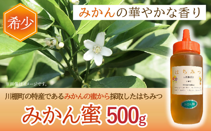 はちみつ 百花蜜500g ＆ みかん蜜500g/ 蜂蜜 国産 とんがり容器 入り 長崎県 川棚町産 【小佐々養蜂場】 [OCY005]