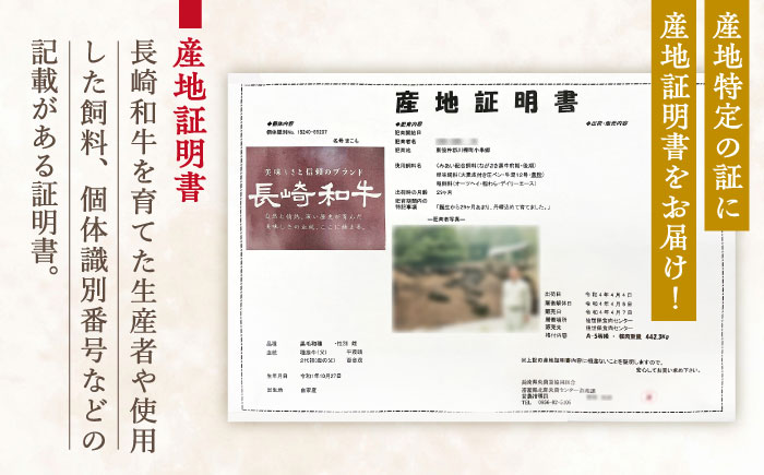 【産地証明書付き！川棚町で育った】長崎和牛 サーロインステーキ 約230g×2枚 総量460g【川下精肉店】[OAA012] / 長崎県産和牛 牛肉 サーロインステーキ 国産牛 牛肉 サーロインステーキ 牛 肉 サーロインステーキ サーロイン ステーキ ぎゅうにく A4ランクサーロインステーキ 上質牛肉 高級