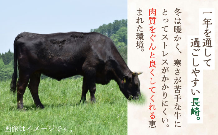 長崎和牛 特選 切り落とし1,200g【川下精肉店】[OAA017] / 長崎県産和牛 牛肉 国産牛すき焼き 炒めもの 切り落とし 切り落とし 切り落とし 切り落とし 切り落とし 切り落とし 牛肉 牛肉 牛肉 長崎県産和牛 牛肉 国産牛すき焼き 切り落とし