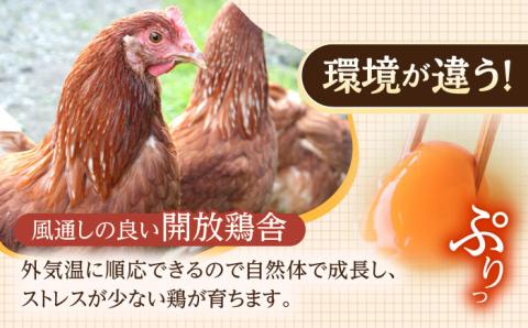【6回定期便】産みたて新鮮卵 野中のたまご  160個×6回 計960個【野中鶏卵】 [OAC011] /卵 たまご 高級卵 卵焼き 卵かけご飯 たまご 濃厚たまご タマゴ