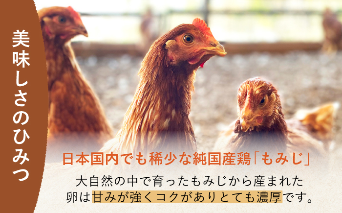 平飼い もみじ の 高級 たまご 40個 ※12月発送なし【野中鶏卵】 [OAC013]