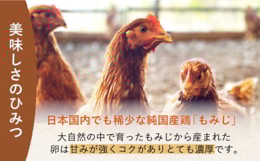 平飼い もみじ の 高級 たまご 新鮮 産みたて卵 20個【野中鶏卵】 [OAC014] /卵 たまご 高級卵 卵焼き 卵かけご飯 たまご 濃厚たまご タマゴ