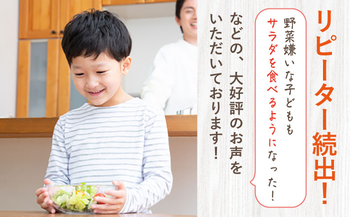 【選べるテイスト】【4回定期便】スムージー専門店が作った ドレッシング1本（たまねぎ/にんじん/ごぼう/カレー）＆タルタルソース 1個【ビタミン・スタンド】 [OAK078] ご希望のドレッシングをご選択ください